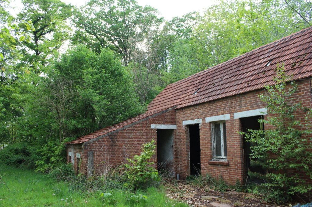 a photograph of the exterior of an abandoned storage shed in belgium, plants are growing everywhere
