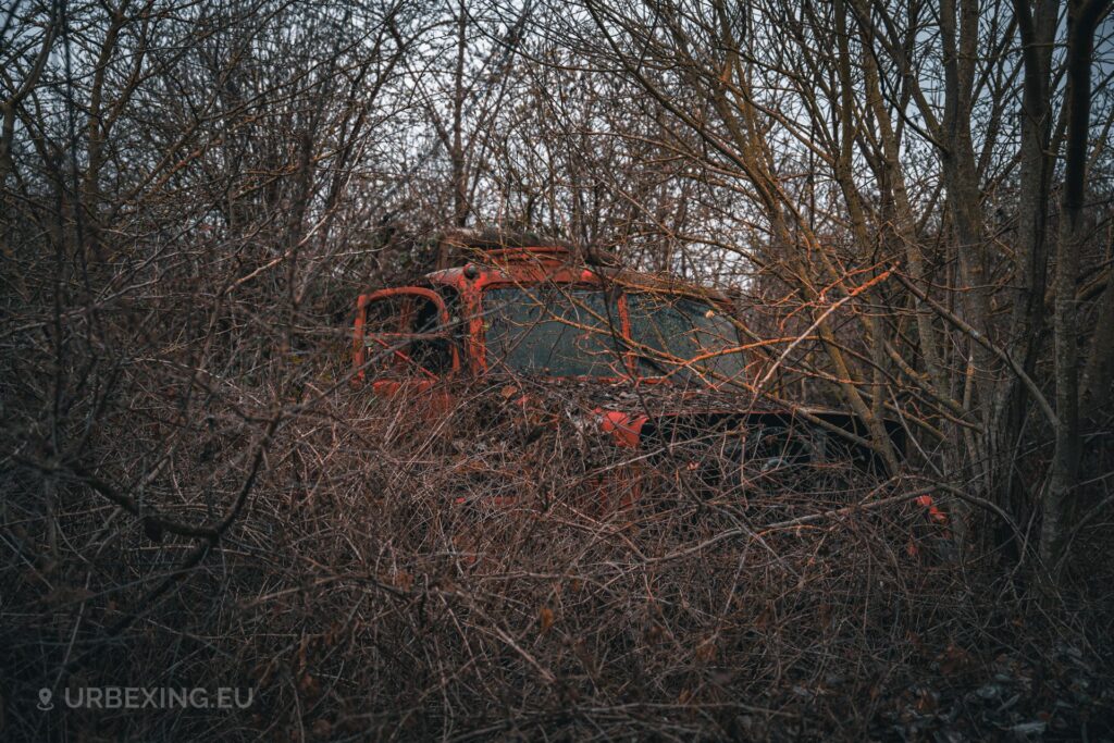 a photo of a red truck that is abandoned. nature has taken over the truck