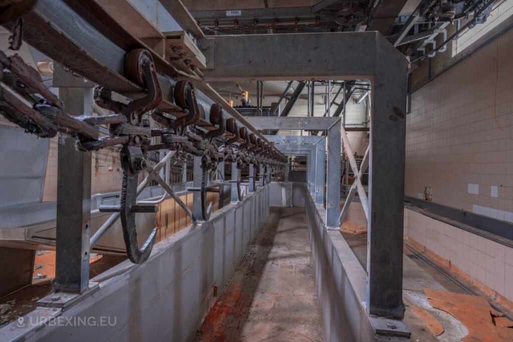 a photograph taken inside an abandoned slaughterhouse. the photo shows many hooks once used to hang pigs on
