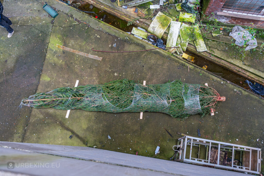 A bundled Christmas tree lies on the concrete floor of the abandoned HF6 power plant in Seraing, Belgium, adding festive charm to an urban exploring site filled with industrial remnants.