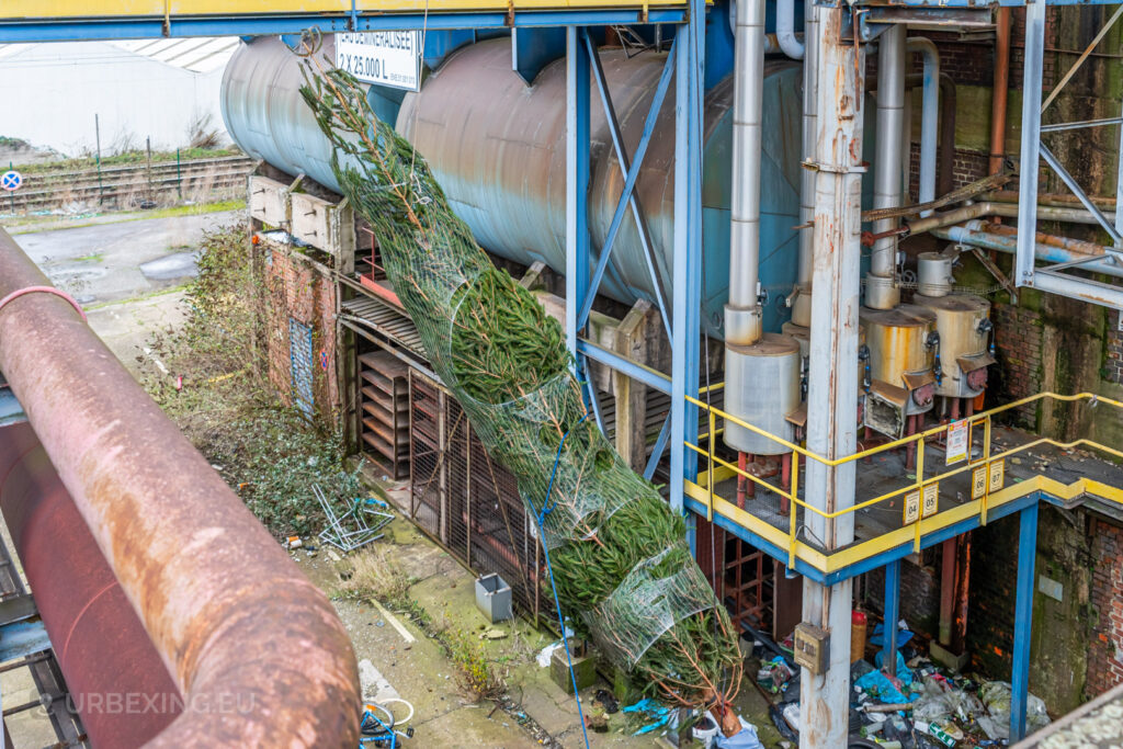 A bundled Christmas tree stands out against the rusted industrial backdrop of the abandoned HF6 power plant in Seraing, Belgium, creating a striking contrast between holiday cheer and urban decay.