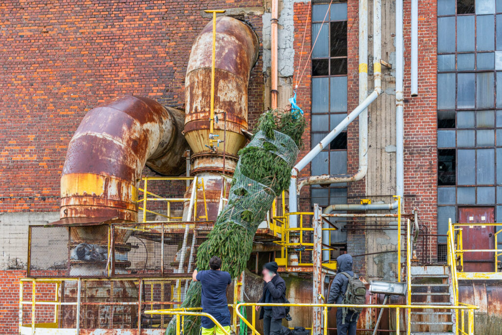 Urban explorers work together to hoist a Christmas tree onto a rusted platform at the abandoned HF6 power plant in Seraing, Belgium, blending industrial decay with a touch of holiday spirit.